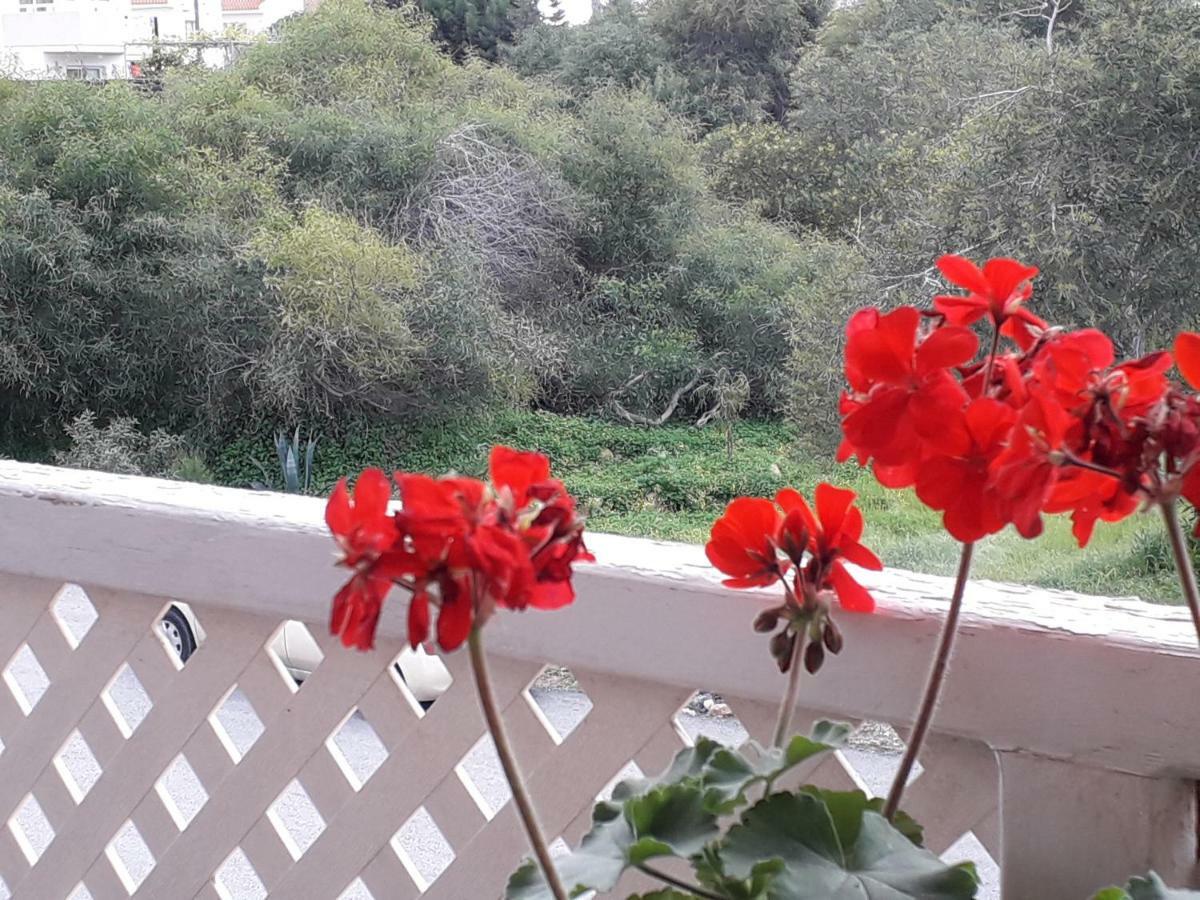 Protaras Happy Sunny Holidays Paralimni Exterior foto